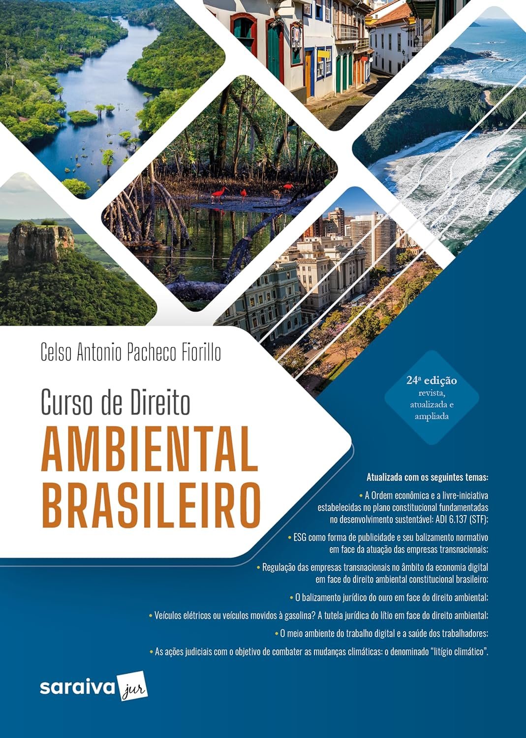 cursodedireitoambientalbrasileiro
