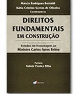 Direitos Fundamentais em Construção