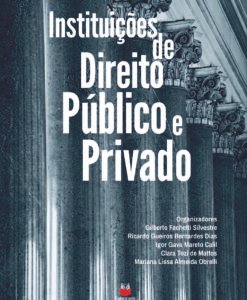 Instituições de Direito Público e Privado