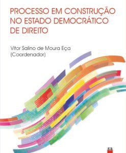Processo em Construção no Estado Democrático de Direito