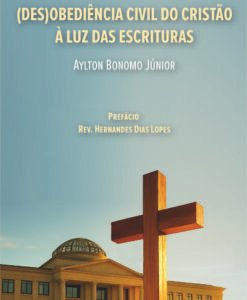 (Des)obediência civil do cristão à luz das escrituras