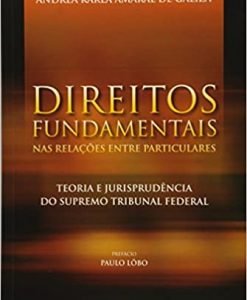 Direitos Fundamentais nas Relações Entre Particulares - Teoria e Jurisprudência do Supremo Tribunal Federal