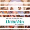 Execução Provisória da Pena e a Crítica de Dworkin ao Pragmatismo