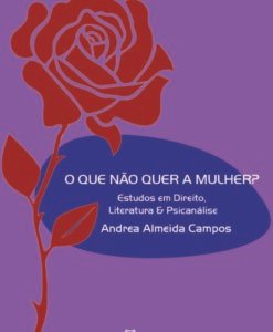 O Que Não Quer a Mulher - Estudos em Direito Literatura e Psicanálise