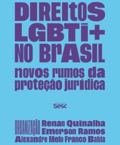 Direitos LGBTI+ no Brasil: novos rumos da proteção jurídica