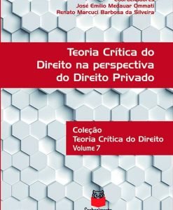 Teoria Crítica do Direito na Perspectiva do Direito Privado - Volume 7 Coleção Teoria Crítica do Direito