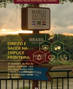Direito e Saúde na Tríplice Fronteira: o município de Foz do Iguaçu analisado com base nas relações entre o direito e a política pública estratégica saúde da família
