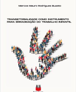 Transetorialidade como Instrumento para Erradicação do Trabalho Infantil