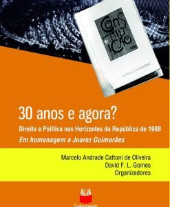 30 Anos e Agora? Direito e Política nos Horizontes da República de 1988 em homenagem a Juarez Guimarães