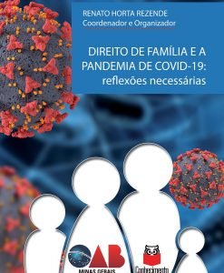 Direito de família e a pandemia de COVID-19: reflexões necessárias