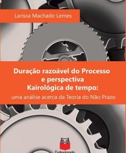 Duração Razoável do Processo e Perspectiva Kairológica de Tempo: uma análise acerca da Teoria da Não Prazo