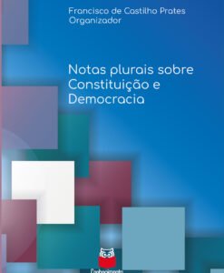 Notas plurais sobre Constituição e Democracia