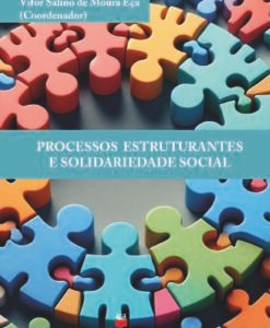 Processos Estruturantes e Solidariedade Social