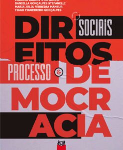 Direitos Sociais Processo e Democracia