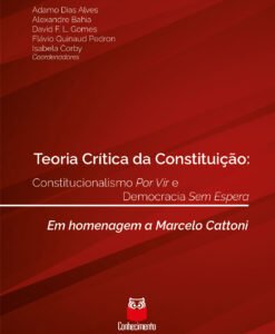 Teoria da Crítica da Constituição: constitucionalismo por vir e democracia sem espera - Em homenagem a Marcelo Cattoni