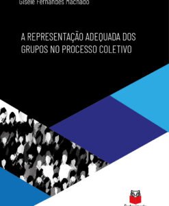 A Representação Adequada dos Grupos no Processo Coletivo